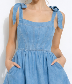 Karina Denim Dress